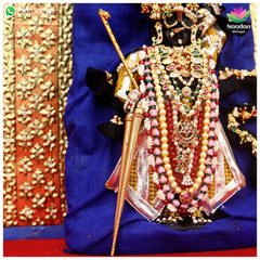 Combo Of Golden Venu Vetra ( No.1 )