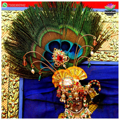 Janmashtami Special Milma Ko Shringar - Chitra Ji Swaroop