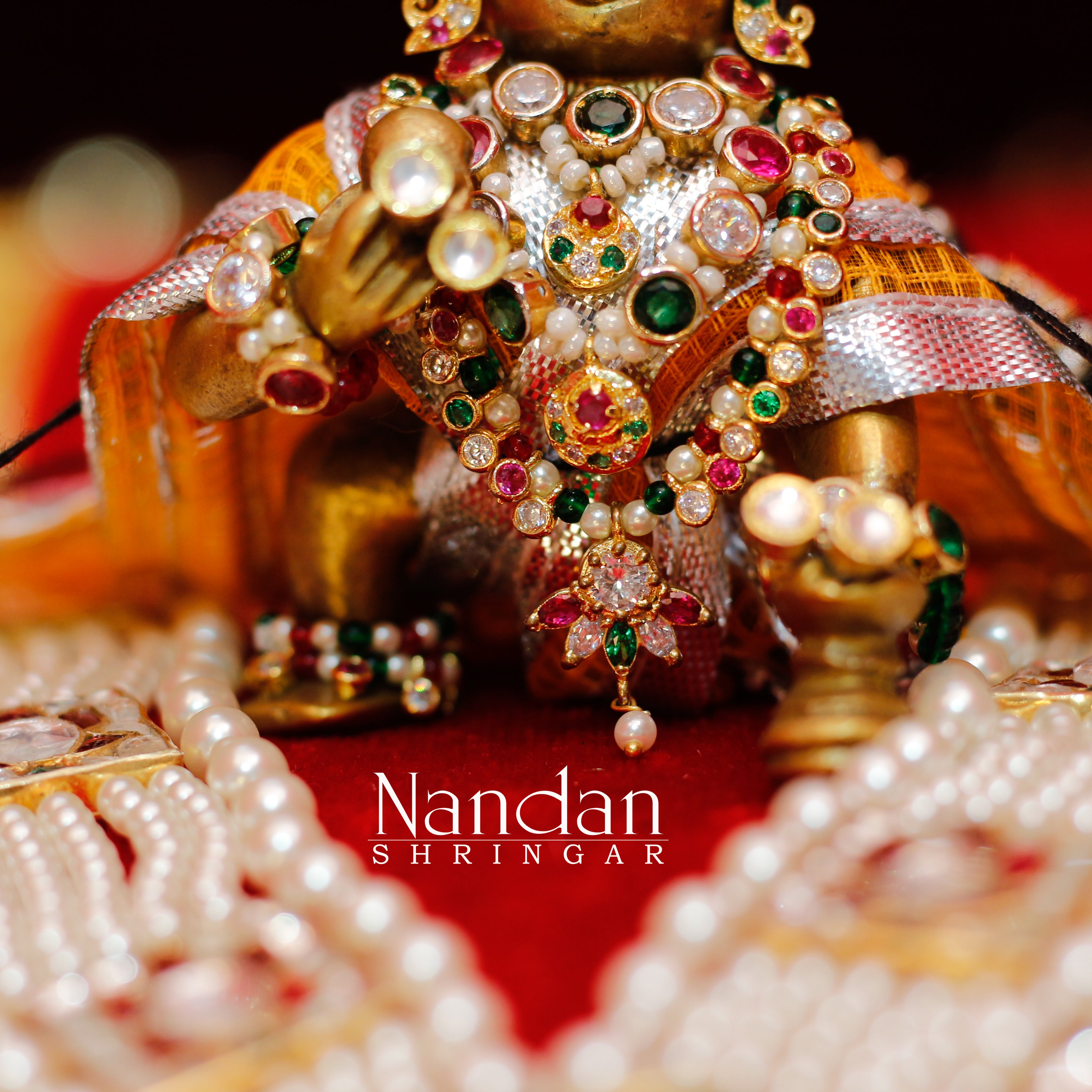 Janmashtami special  Nupur