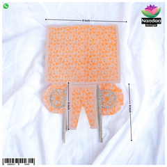 Chandan Chapa Pankha And Chira Odni - Orange [ Design 2 ]