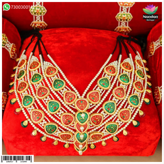 Gaadi Shringar – Janmashtmi Special