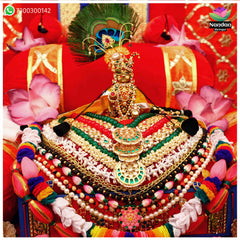 Janmashtami Special Milma Ko Shringar - With Choti Ji
