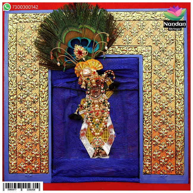 Janmashtami Special Milma Ko Shringar - Chitra Ji Swaroop
