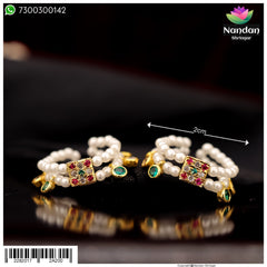 Nupur - Multi (Silver)